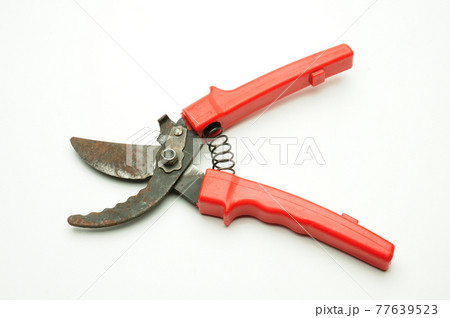 Scissors for pruning tree branches and bushes on a white background 77639523