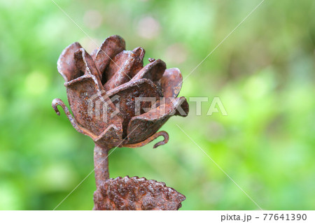 Rusted Artificial Iron Rose Flower Garden Ornament Rusted Artificial Iron Rose Flower Garden Ornament 77641390