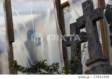 Old cemetery under reconstruction with blue cross behind a bush and covered with plastic wrap on wooden supporters 77641499