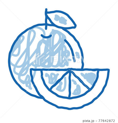 Healthy Food Fruit Orange doodle icon hand drawn illustration 77642872