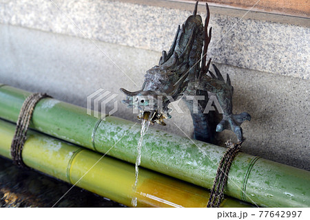 手水舎の龍神 手水舎の龍神 77642997