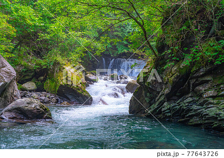 夏の乗鞍高原の番所小滝　【長野県】 77643726