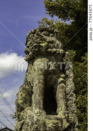 神前神社 狛犬 玉島八島 岡山県倉敷市 神前神社 狛犬 玉島八島 岡山県倉敷市 77643975