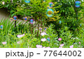 背景画像｜緑の中に、綺麗な花とシャボン玉が浮かぶ風景3 77644002