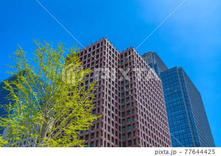 東京の都市風景 大手町 行幸通り周辺の高層ビル群 77644425