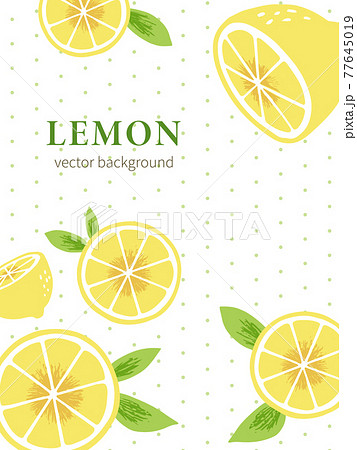 淡い黄緑のポルカドット背景に手書きのレモンを配置したポスター バナー等向け背景素材のイラスト素材
