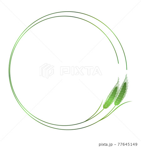 麦の穂のフレームイラスト　緑 77645149