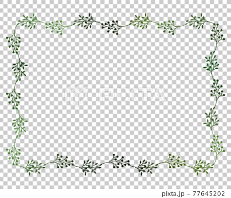 緑の小枝と実のフレームイラスト 4 77645202