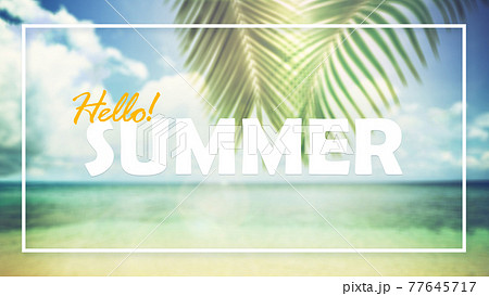 夏のイメージ素材 - 複数のバリエーションがあります 夏のイメージ素材 - 複数のバリエーションがあります 77645717