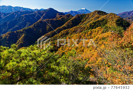 大月・御前山から見る富士山と紅葉の山並み 大月・御前山から見る富士山と紅葉の山並み 77645932