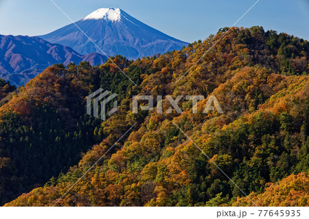 大月・御前山から見る富士山と紅葉の山並み 77645935
