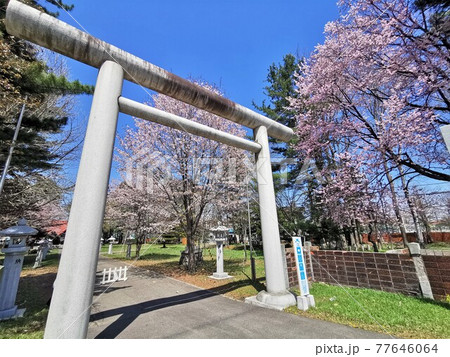 帯広神社（北海道帯広市） 77646064