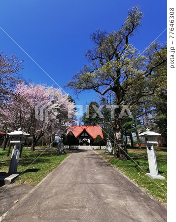 十勝護國神社(北海道帯広市) 十勝護國神社(北海道帯広市) 77646308
