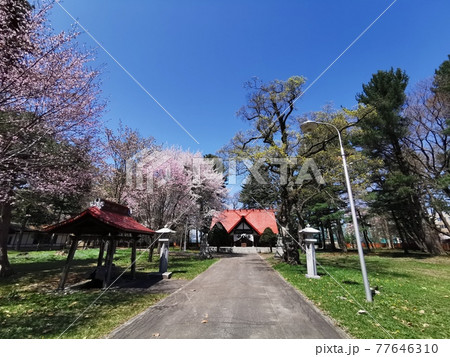 十勝護國神社(北海道帯広市) 十勝護國神社(北海道帯広市) 77646310