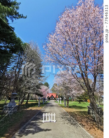 十勝護國神社(北海道帯広市) 十勝護國神社(北海道帯広市) 77646313