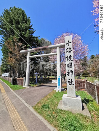 十勝護國神社・鳥居(北海道帯広市) 十勝護國神社・鳥居(北海道帯広市) 77646364