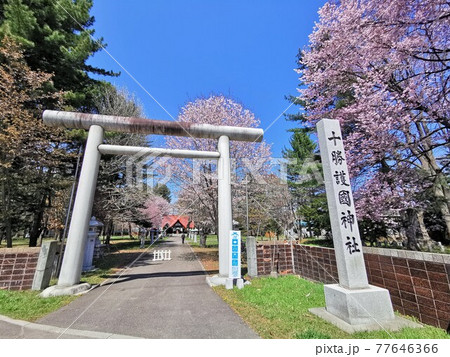 十勝護國神社・鳥居（北海道帯広市） 77646366