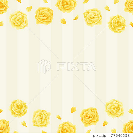 父の日　水彩　黄色い薔薇　フレーム　背景付き　正方形 77646538