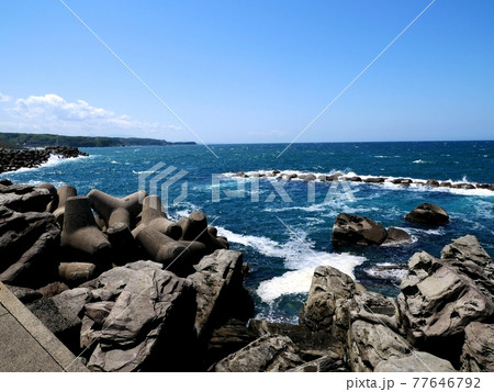 夏泊海岸(全景) 77646792