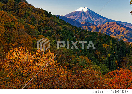 都留・九鬼山稜線の紅葉と富士山の眺め 都留・九鬼山稜線の紅葉と富士山の眺め 77646838