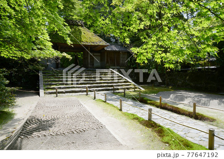 新緑の法然院 山門と白砂壇 京都市鹿ヶ谷 新緑の法然院 山門と白砂壇 京都市鹿ヶ谷 77647192