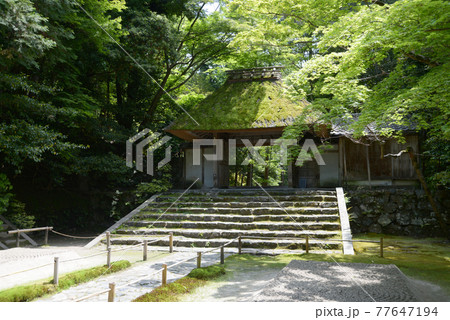 新緑の法然院　山門と白砂壇　京都市鹿ヶ谷 77647194