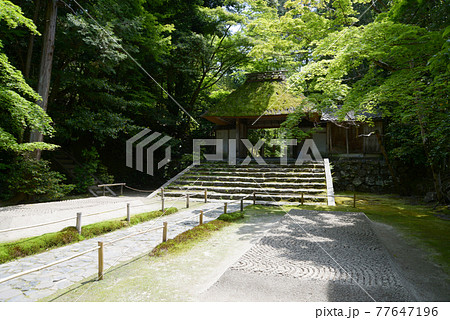 新緑の法然院　山門と白砂壇　京都市鹿ヶ谷 77647196