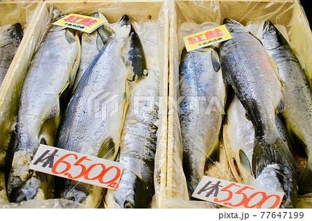 魚市場で売られている鮭 魚市場で売られている鮭 77647199