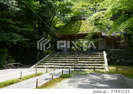 新緑の法然院　山門と白砂壇　京都市鹿ヶ谷 77647235