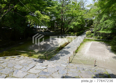 新緑の法然院　白砂壇　京都市鹿ヶ谷 77647236