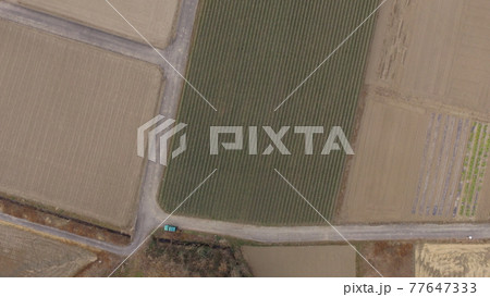農地(埼玉県大里郡寄居町) 農地(埼玉県大里郡寄居町) 77647333