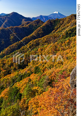 大月市・御前山から見る紅葉の山並みと富士山 77647495
