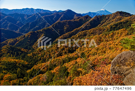 大月市・御前山から見る紅葉の山並みと富士山 77647496