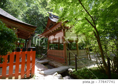 上賀茂神社 賀茂山口神社拝殿 京都市北区 上賀茂神社 賀茂山口神社拝殿 京都市北区 77647741