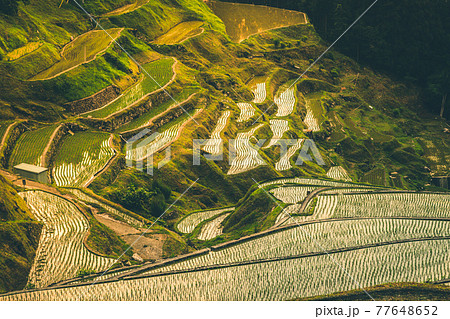 泉谷棚田 77648652