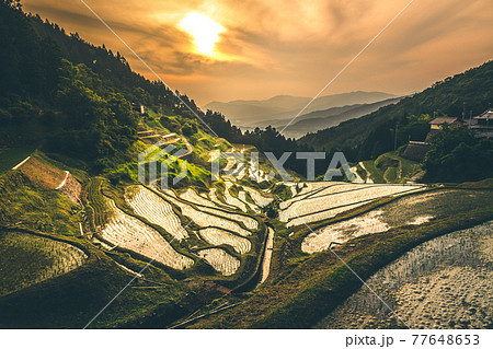 泉谷棚田 77648653