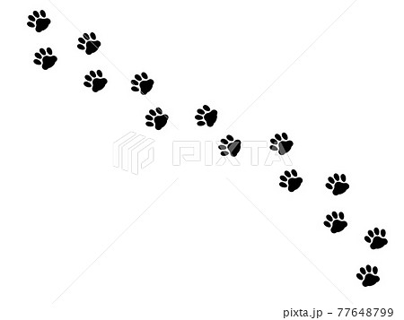 肉球 猫の足跡のシルエットイラスト横断のイラスト素材