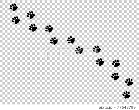 肉球　猫の足跡のシルエットイラスト横断 77648799