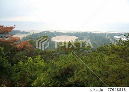 銭形砂絵 展望台 銭形砂絵 展望台 77648818