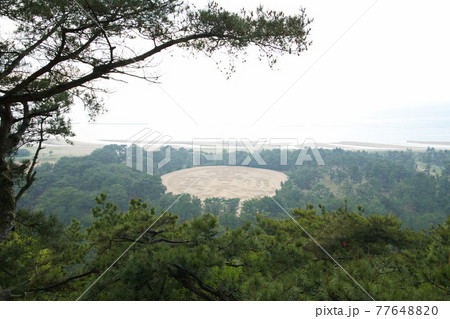 銭形砂絵 展望台 銭形砂絵 展望台 77648820