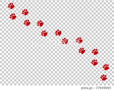 肉球 猫の足跡赤のシルエットイラスト横断のイラスト素材
