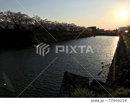春の五稜郭 春の五稜郭 77649228