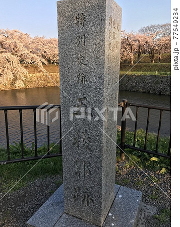 春の五稜郭 春の五稜郭 77649234
