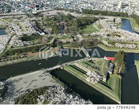 春の五稜郭 春の五稜郭 77649246
