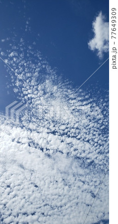雲の情景　春の空　 77649309