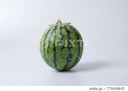 西瓜 77649845
