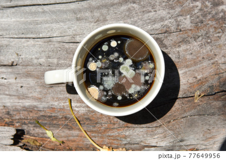 mold in the unwashed cup after cup of coffee on grungy wooden background, A cup of coffee left for several days until the fungus occurs. mold in the unwashed cup after cup of coffee on grungy wooden background, A cup of coffee left for several days until the fungus occurs. 77649956