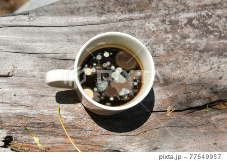 mold in the unwashed cup after cup of coffee on grungy wooden background, A cup of coffee left for several days until the fungus occurs. mold in the unwashed cup after cup of coffee on grungy wooden background, A cup of coffee left for several days until the fungus occurs. 77649957