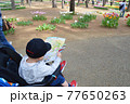 ひたち海浜公園のガイドマップを真剣に見るベビーカーに乗った幼児 77650263