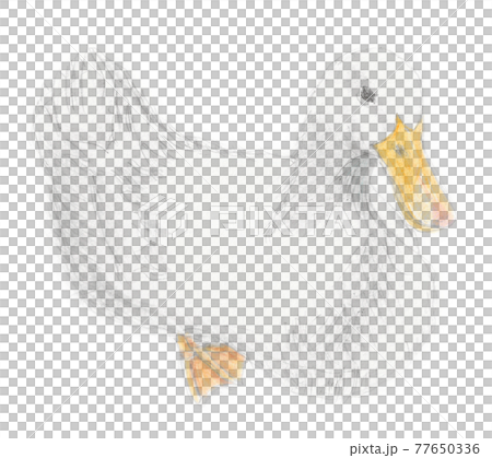 鴨子鉛筆劃 鴨子鉛筆劃 77650336